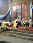 IMG_3774.jpg 