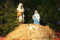  IMG_9865.JPG 